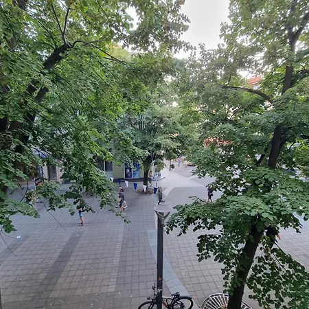 Alexandrovska - Super Centaral Luxury * Burgas